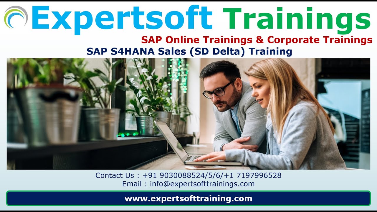 SAP S4HANA Sales Training | SAP S4HANA SD Delta Training