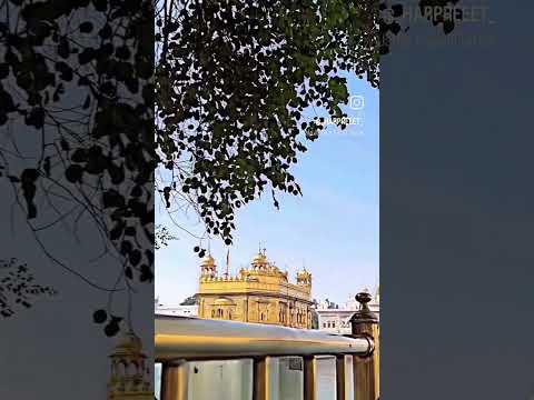 #youtubeshorts #goldentempleji #goldentemplevideo