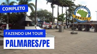 preview picture of video 'Viajando Todo o Brasil - Palmares/PE - Especial'