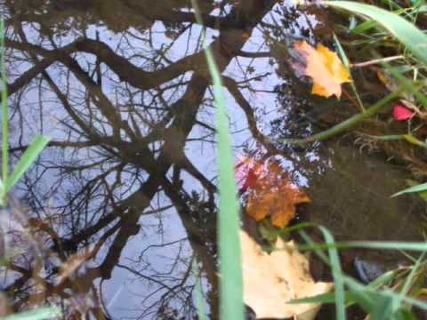 Stephan Sulke - Die Andre