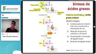 Metabolismo de lipídeos - parte IV (Biossíntese de ácidos graxos e controle metabólico)
