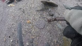 Beach Metal Detecting Silver Coins on top of Sand!