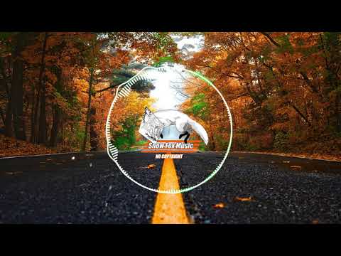 Agst-Relax//[background music no copyright / Tropical ]//