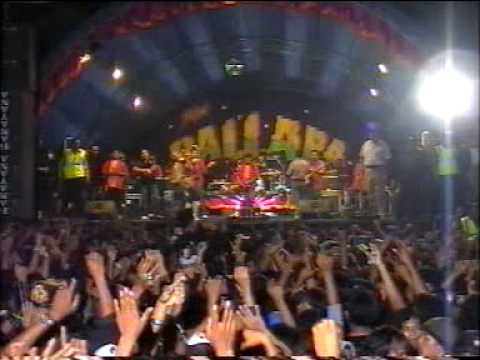 palapa kucing garong wiwik sagita