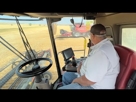 DAYS 66 - 68 / 2022 Wheat Harvest / August 20-22 (Circle, Montana)