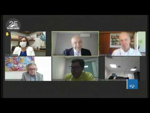 Queda na renda do trabalho preocupa, aponta debate na Comissão da Covid-19