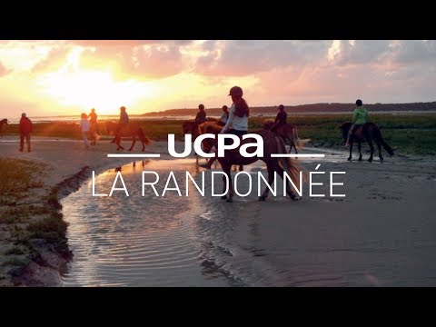 Horse Riding Tutorials #7 - How to Ride a Horse