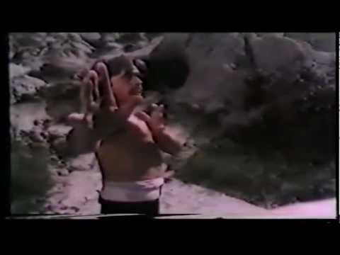 Dünyayı Kurtaran Adam (1982)