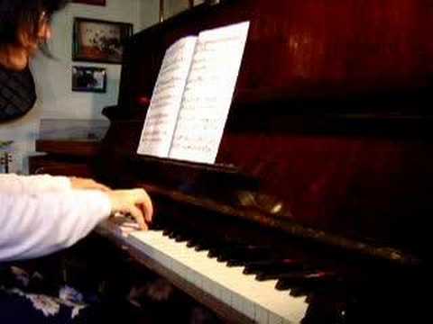 João Portaro: Orquídeas Silvestres