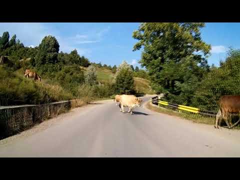 Traseu Motocicleta Prahova prin Brebu highlights