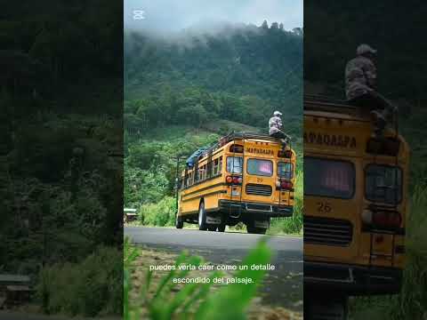 👉 “Nadie imagina que esto existe en Nicaragua" 🇳🇮🌳
