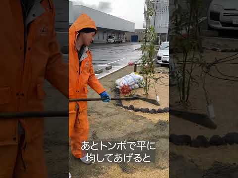 芝生の上に砂を敷く理由：知っておくべきこと！  庭園