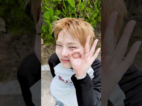 🦊👌 #StrayKids #스트레이키즈 #아이엔 #I_N #YouMakeStrayKidsStay