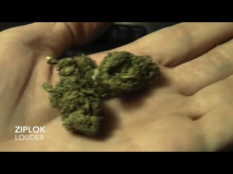 Ziplok - Louder - [Official Music Video]