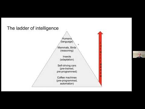 Patrick Hammer - Intelligence through reasoning