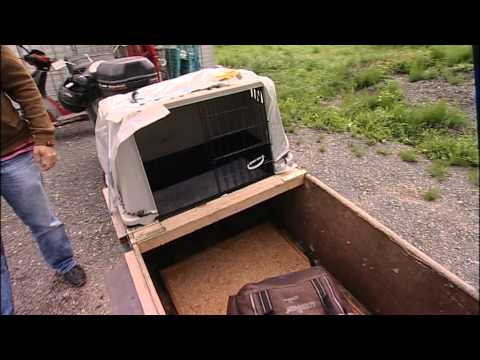 UNTERWEGS - Südsteiermark Wildon / Spielfeld / Leibnitz / Ehrenhausen