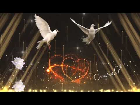 Larry Graham-When We Get Married (1980)