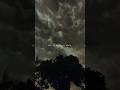 Shikayat Song Lyrics Status Shorts Trending Lyrics Aeshthetic Love Song