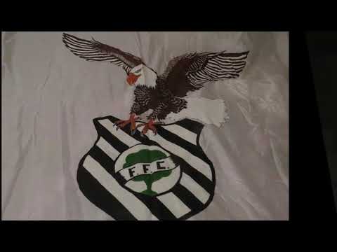 Gaviões – Torcida Organizada do Figueirense – 15/05/2016.