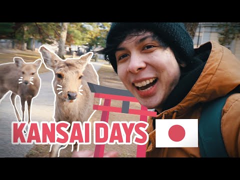 在日本關西旅行 ⛩️ (Travelling in Kansai, Japan ⛩️)