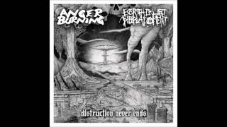 OUT NOW Anger Burning/Earth Crust Displacement "split"12