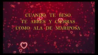 Cuando Te Beso  - Juan Luis Guerra -  Letra HD