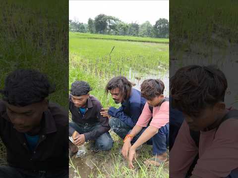 सजनिया का Waterfall 🏞️😍 @aruncomedian750 || #cg #comedy #shorts #shortsfeed #explore