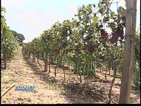 Band Cidade Campinas 04 12 2012 - bloco 03