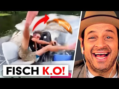 Fisch strikes back! Best of Internet 2025 Part 2