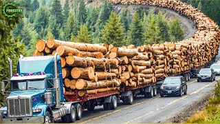Extreme Dangerous Big Logging Wood Truck Driving Skill | Fastest Chainsaw Cutting Tree Machines #11