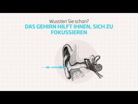 So funktioniert das Hören im Gehirn