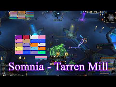 Somnia Tarren Mill vs Mythic Rygelon | Sepulcher of First Ones | WoW: Shadowlands | Holy Paladin PoV