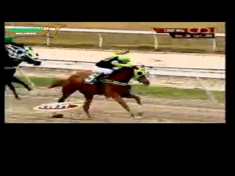 LA RINCONADA 5 CARRERA DOMINGO 11 DE MAYO DEL 2014