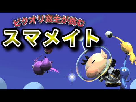 あの頃を思い出してオリマーに打ち込む【スマブラSP　ピクミン＆オリマー】