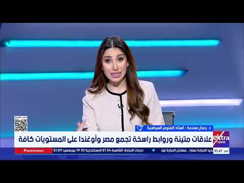 أستاذ علوم سياسية: العلاقات المصرية الأفريقية تشهد طفرة ملموسة على جميع المستويات 