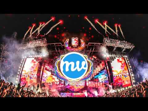 Halsey vs  Steerner vs  Arston feat  Christian Burns   I Never Loved You vs  Where The Lights Are