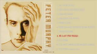 Peter Murphy - My last two weeks