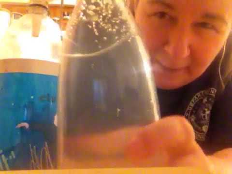 Homemade Raspberry Vanilla Probiotic Soda.