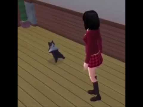 Sims cat break-dancing