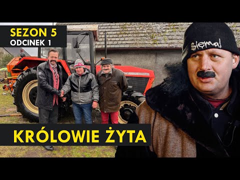 KRÓLOWIE ŻYTA Sezon 5 odc. 1 I Kabaret Malina I ZAKUP ZETORA