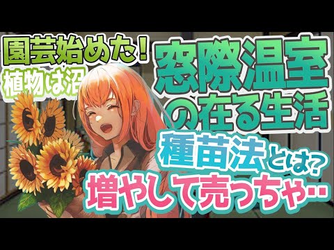 なぜ庭でランナーインゲンを栽培するのでしょうか？この食用および観賞用の植物についてすべてを知る  庭園