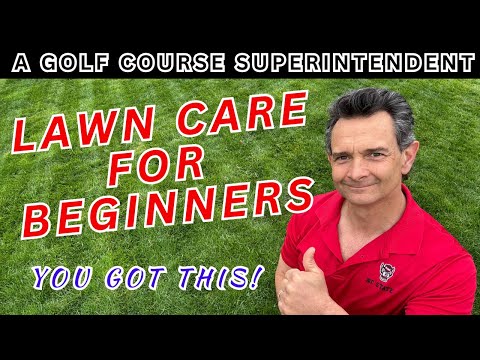 How to Make Your Lawn LOOK EXPENSIVE (Beginner Tips) & Full Year Lawn Program!