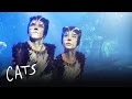 The Cats at the Jellicle Ball | Cats the Musical