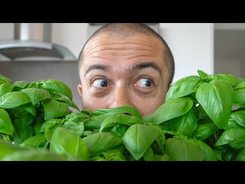 Going crazy for TROFIE AL PESTO 🌱