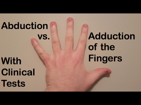 Inversion and Eversion Plantarflexion and Dorsiflexion of the Foot