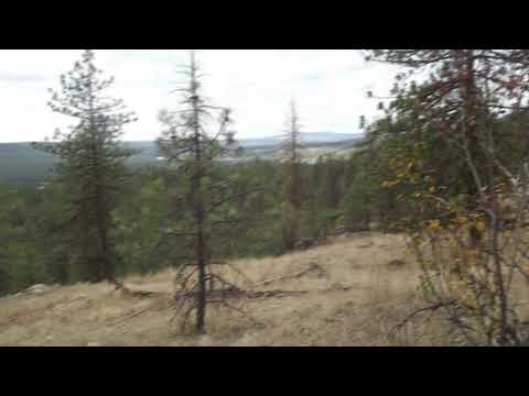 [free] ways + midwest emo plugg + kiryano type beat - "smash" (wisssery)