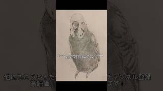 かわいいインコちゃん描くぞ #絵 #美術 #お絵描き