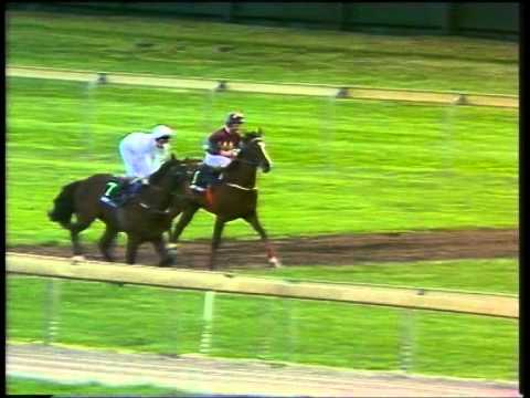 Rough Habit Caulfield stakes 1994