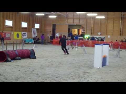 Köztársaság Kupa 2014.03.01. Kira & Juhász Gábor Jumping 1. hely, Köztársaság Bajnoka