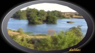 Peter Cincotti.-  Man On A Mission